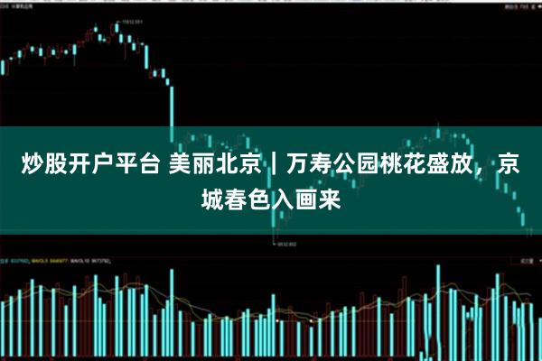 炒股开户平台 美丽北京｜万寿公园桃花盛放，京城春色入画来
